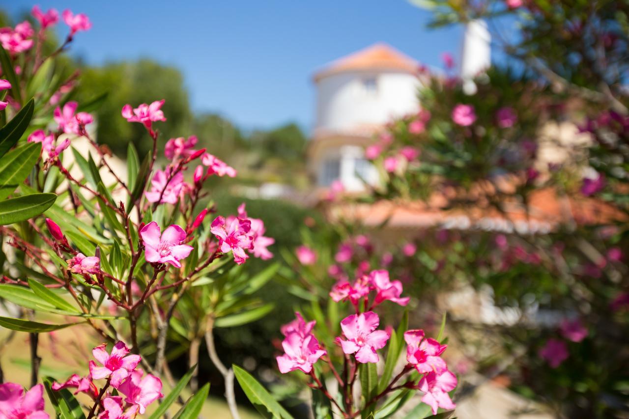 Quinta Do Cabo Guesthouse Azoia  Εξωτερικό φωτογραφία